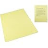 Yellow Tinted Plastic Reading Sheet