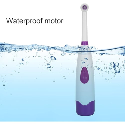 Rotary Cleaning Electric Toothbrush Waterproof Strong Adult Electric Toothbrush with 4 Duponts Heads Sonic Electric Toothbrushpurple