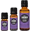 Edens Garden Lavender- Fine Essential Oil, 100% Pure Therapeutic Grade Undiluted Natural Homeopathic Aromatherapy Scented Essential Oil Singles 5 ml