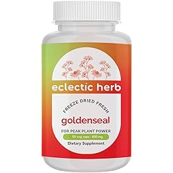 Eclectic Institute Raw Freeze-Dried Goldenseal Capsules | Supports Immune Function | Supports Healthy Sinuses | Supports Mucous Membrane Health | 50 CT 400mg