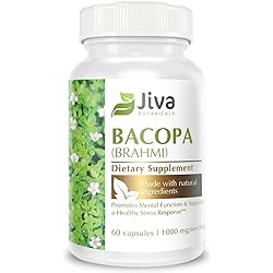 Jiva Botanicals Bacopa MonnieriBrahmi Capsules -Organic Bacopa Supplement- Bacopa Monnieri Extract 300mg -All Natural Health Supplement Supports Brain for Focus, Energy, Memory & Clarity- 60 Capsules