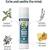 Badger - Headache Soother, Aromatherapy Balm Stick, Certified Organic, Headache Relief Aromatherapy Oil, Peppermint Eucalyptus & Lavender Essential Oils, Stress Relief, 0.6 oz