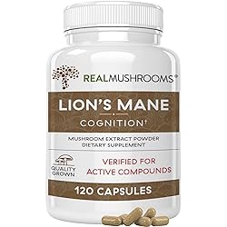 Lions Mane Brain and Focus Supplements - Mushroom Powder Extract Capsules - Non GMO and Gluten Free Supplement for Better Cognitive Health