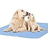 Bed Pads Washable Waterproof2 Pack, 34 x 36, Washable and Reusable Anti Slip Incontinence Underpad Sheet Protector for Adults, Elderly, Kids, Toddler and Pets, White and Blue