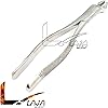 LAJA IMPORTS 1PC Dental Instrument 210S EXTRACTING Forceps Stainless Steel