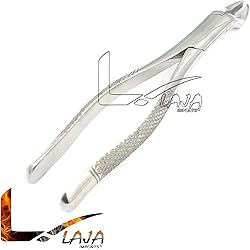 LAJA IMPORTS 1PC Dental Instrument 210S EXTRACTING Forceps Stainless Steel