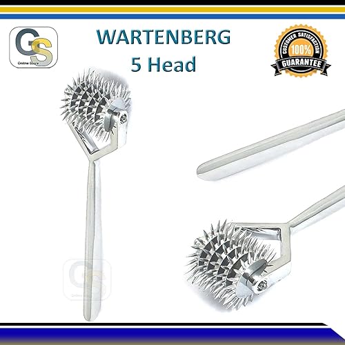 Wartenberg Pinwheel, 5 Heads Wartenberg Wheel by G.S Online Store