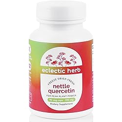 Eclectic Institute Raw Freeze-Dried Non-GMO Nettle Quercetin Capsules | Sinus, Nasal, Immune Support | 90 CT