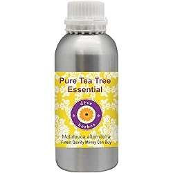Deve Herbes Pure Tea Tree Essential Oil Melaleuca alternifolia Natural Therapeutic Grade Steam Distilled 300ml 10 oz