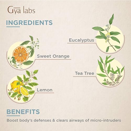 Gya Labs Immune Essential Oil Blend 10ml - Cleansing & Invigorating