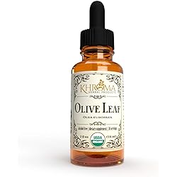 Organic Olive Leaf - 2 oz Liquid in a Glass Bottle - 30 Servings - by Khroma Herbal Products