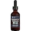 Global Healing USDA Organic Elderberry & Echinacea Liquid Supplement Tincture | Antioxidant Immune Support Against Harmful Organisms for Adults and Kids, Vegan, Non-GMO, 2-Month Supply 2 Oz