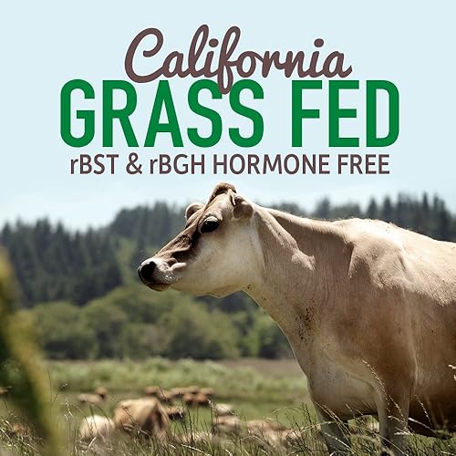 Garden of Life Organic Grass Fed Whey Powder, 21g California Protein Plus Probiotics, Non-GMO, GlutenRBST & rBGH Free, Humane Certified, No Artificial Color, Vanilla, 13.33 Oz