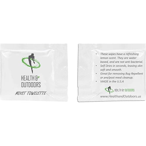 Repel 100 Insect Repellent, Pump Spray, 4-Ounce 2 Pack W 4 HAO Wipes