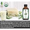 SVA Organics Rosemary Essential Oil Organic USDA 1 Oz Pure & Natural for Skin, Face, Hair Care, Aromatherapy, Diffuser, Hair Growth, Conditioner
