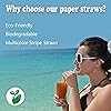 Paper Straws,200 Pcs Paper Drinking Straws For Wedding Party Restaurant Juice, Coffee Cold Drinks, Dessert and Diy Decoration Stripe