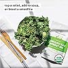 Sprout Living Broccoli and Kale Organic Sprout Mix, Freeze Dried Superfood Greens Powder, 100% Pure, Vegan, Non-GMO, Gluten Free 4 Ounces, 32 Servings