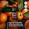 Gya Labs Clementine Essential Oil 10ml - Zesty & Citrusy Scent
