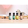 Edens Garden Calm 'Em Down "OK for Kids" Essential Oil Synergy Blend, 100% Pure Therapeutic Grade Undiluted Natural Homeopathic Aromatherapy Scented Essential Oil Blends 10 ml