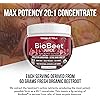 BioBeet® Beet Juice Black Cherry Flavor – Max Strength, 20x High Concentration Than Beet Root Powder – Organic, Cold-Pressed, USA Grown, Raw Form – Nitric Oxide, Circulation Support 50 Servings