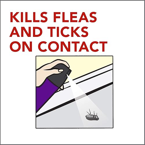 Raid Flea Killer Carpet & Room Spray, Kills Fleas and Ticks on Contact, Kills hatching eggs for up to 4 months, 16 oz