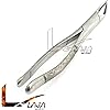 LAJA IMPORTS 1PC Dental Instrument 151# EXTRACTING Forceps Stainless Steel