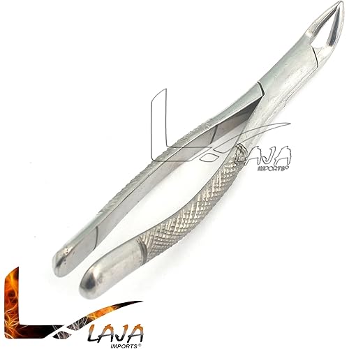 LAJA IMPORTS 1PC Dental Instrument 151# EXTRACTING Forceps Stainless Steel