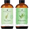 Handcraft Tea Tree Essential Oil and Rosemary Essential Oil Set – Huge 4 Fl. Oz – 100% Pure and Natural Essential Oils – Premium Therapeutic Grade with Premium Glass Dropper