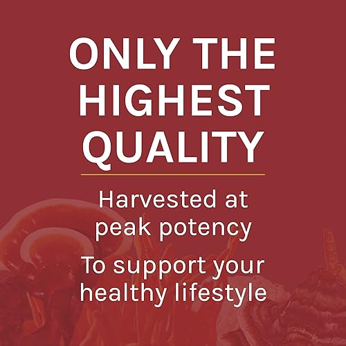 Host Defense, Reishi Mushroom Powder, Supports Energy, Cardiovascular Health and Stress Response, Mushroom Supplement, 3.5 oz, Plain