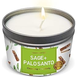 MAGNIFICENT 101 SAGE Palo Santo Aromatherapy Candle for House Energy Cleansing and Positivity Vibes, Banishes Negative Energy I Chakra Healing - Natural Soy Wax Tin Candle for Aromatherapy 6oz
