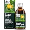 Gaia Herbs Bronchial Wellness Syrup - Immune Support Supplement to Help Maintain Lung Health and Help Provide Comfort for Occasional Sore Throat - 5.4 Fl Oz Up to 32-Day Supply