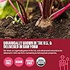 BioBeet® Beet Juice Black Cherry Flavor – Max Strength, 20x High Concentration Than Beet Root Powder – Organic, Cold-Pressed, USA Grown, Raw Form – Nitric Oxide, Circulation Support 50 Servings