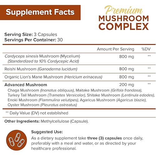 NutriFlair Mushroom Supplement 2600mg - 90 Capsules - 10 Mushrooms Blend - Reishi, Lions Mane, Cordyceps, Chaga, Turkey Tail, Maitake, Shiitake, Oyster Nootropic Complex - Brain, Energy, Focus Pills