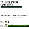 Organic Wheatgrass Juice Powder - Organic Lemon Flavor - Grown in Volcanic Soil of Utah - Raw & BioActive Form, Cold-Pressed Then CO2 Dried - Dietary Supplement - 6.2 oz