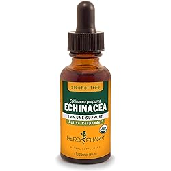 Herb Pharm Certified Organic Echinacea Root Liquid Extract for Immune System Support, Alcohol-Free Glycerite, 1 Ounce