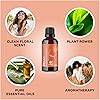 Maple Holistics Essential Oil Set - Relax and Unwind Relaxing Essential Oil Blends for Diffuser Aromatherapy and Baths - Purifying Essential Oils for Diffusers for Home