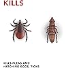 Raid Flea Killer Carpet & Room Spray, Kills Fleas and Ticks on Contact, Kills hatching eggs for up to 4 months, 16 oz