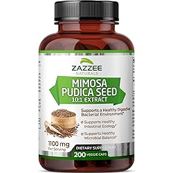 Zazzee Mimosa Pudica Seed 10:1 Extract, 200 Vegan Capsules, 1100 mg, 3 Month Supply, Potent 10:1 Extract, Non-GMO and All-Natural
