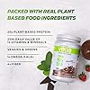 Vega Essentials Plant Based Protein Powder, Mocha, Vegan, Superfood, Vitamins, Antioxidants, Keto, Low Carb, Dairy Free, Gluten Free, Pea Protein for Women and Men,1.4 Pounds 18 Servings