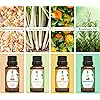 SVA ORGANICS Essential oils gift set 8 pack Organic USDA 100% Pure & Natural Therapeutic Grade Peppermint, Lavender, Eucalyptus, Tea Tree, Lemongrass, Rosemary, Frankincense, Brazilian Orange, 10 ml
