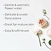Plant Therapy Rose Hydrosol 4 oz by-Product of Essential Oils