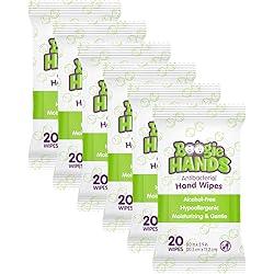 Hand Sanitizer Wipes by Boogie Wipes, Alcohol-Free, Hypoallergenic and Moisturizing Aloe, Boogie Hand Wipes for Adults and Kids, 6 Packs of 20 120 Total Wipes