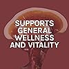 Host Defense, Reishi Capsules, Supports General Wellness and Vitality, Daily Mushroom Mycelium Supplement, USDA Organic, Gluten Free, 120 Vegetarian Capsules 60 Servings