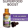 Host Defense, Lion's Mane Extract, Promotes Mental Clarity, Focus and Memory, Daily Mushroom Supplement, Vegan, Organic, 1 fl oz 30 Servings