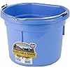 Miller Manufacturing P8FBBERRYBLUE Plastic Flat Back Bucket for Horses, 8-Quart, Berry Blue