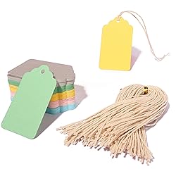 100PCS Blank Gift Tags, Paper Tags for Wedding, Blank Craft Marking Hang Tags with Free 100 Root String Mix 5 Color