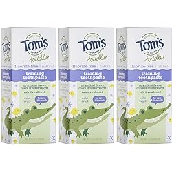 Tom's of Maine Fluoride-Free Toddler Training Toothpaste, Mild Fruit, 1.75 oz. 3-Pack Packaging May Vary