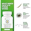 Ben's Prostate Power - All Natural Prostate Supplement to Support Prostate Function - Saw Palmetto & Rye Flower Extract 6 Bottles