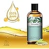 PHATOIL 100ML Citronella Essential Oil, for Aromatherapy Diffusers, Humidifiers, Skin Care, Massage, Great for DIY Candle and Soap Making, Gift for Friend