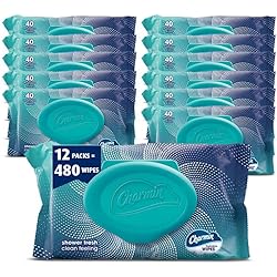 Charmin Flushable Wipes,40 Flushable Wipes, 480 Wipes Total Packaging May Vary, 40 Count Pack of 12